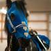 Garuda the horse is dressed as a shining knight in armor for the Kay Peplau Therapeutic Riding Center's Halloween Trick-or-Treat horse ride. (Tanya Moutzalias for AnnArbor.com)